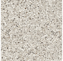 Terrazzo Fliese mit gesprenkeltem Muster