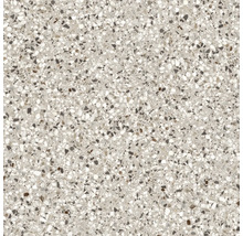 Nahaufnahme einer Bodenfliese mit Terrazzo Muster.