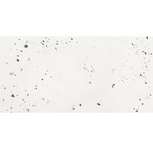 Wand- und Bodenfliese Kado ice cement 59,5x119,2cm matt rektifiziert