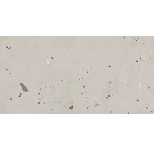 Wand- und Bodenfliese Kado clay cement 59,5x119,2cm matt rektifiziert