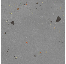 Wand- und Bodenfliese Kado lead cement 59,5x59,5cm matt rektifiziert