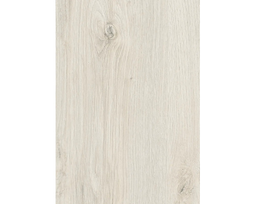 Handmuster Laminat 8.0 Oak Evoke Delight