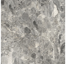 Nahaufnahme einer grauen Bodenfliese mit Marmoroptik