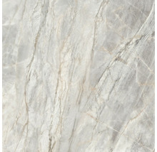 Nahaufnahme einer hellgrauen Fliese mit Marmormuster