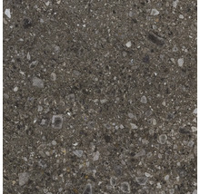 Detailaufnahme einer Bodenfliese mit Steindekor