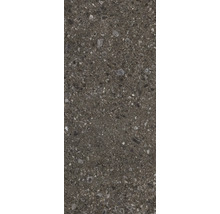 Graue Feinsteinzeugfliese mit gesprenkelter Oberfläche