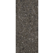 Nahaufnahme einer Bodenfliese mit unregelmäßiger, gesprenkelter Oberfläche.