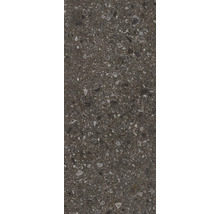 Wand- und Bodenfliese Ceppo Nuovo schwarz 279,7x119,7cm glänzend rektifiziert