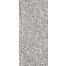Wand- und Bodenfliese Ceppo Nuovo Silber 279,7x119,7cm rektifiziert