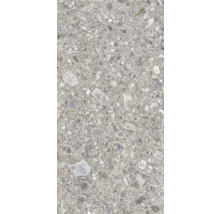 Wand- und Bodenfliese Ceppo Nuovo Silber 119,7x59,7cm rektifiziert