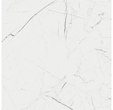 Wand- und Bodenfliese Marmo Thassos weiß 79,7x79,7cm rektifiziert