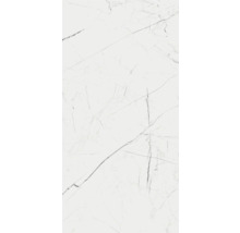 Wand- und Bodenfliese Marmo Thassos weiß 119,7x59,7cm rektifiziert