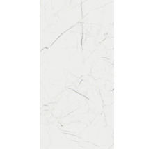 Wand- und Bodenfliese Marmo Thassos weiß 159,7x79,7cm rektifiziert
