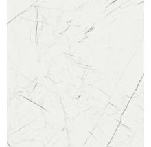 Wand- und Bodenfliese Marmo Thassos weiß 119,7x119,7cm rektifiziert