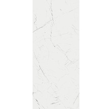 Wand- und Bodenfliese Marmo Thassos weiß 279,7x119,7cm rektifiziert