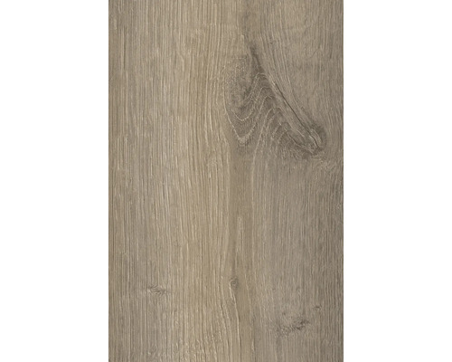 Handmuster Laminat 12.0 Historic Earth