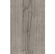 Holzstruktur Nahaufnahme