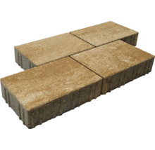 Vier Pflastersteine aus Beton