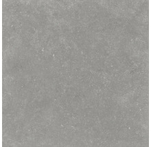 Graue Bodenfliese aus Feinsteinzeug