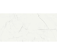 Wand- und Bodenfliese Marmo Thassos weiß 159,7x79,7cm rektifiziert