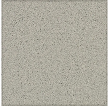 Produktbild: Keramik Wand- und Bodenfliese Nevada Grau 20 x 20 x 0,8 cm