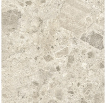 Produktbild: Bodenfliese Marazzi Caracter Mix beige 60x60cm strukturiert R11C