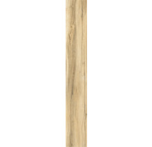 Holzpaneel mit Maserung