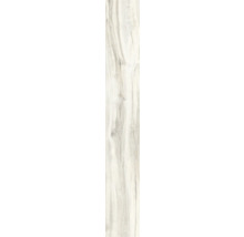 Wand- und Bodenfliese Aretino ivory 23,4x148cm rektifiziert