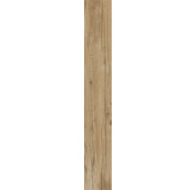 Wand- und Bodenfliese Aretino nut 23,4x148cm rektifiziert