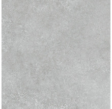 Feinsteinzeug Wand- und Bodenfliese Rubi grau 59,8 x 59,8 x 0,9 cm matt rektifiziert