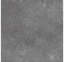 Feinsteinzeug Wand- und Bodenfliese Rubi dunkelgrau 59,8 x 59,8 x 0,9 cm matt rektifiziert