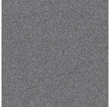 Bodenfliese Feinkorn R10B Rako Taurus Granit Antracit 19,8x19,8x0,8cm