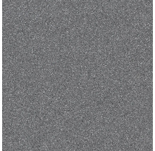 Bodenfliese Feinkorn R10B Rako Taurus Granit Antracit 29,8x29,8x0,8cm