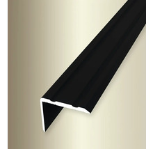 Schienenprofil aus Aluminium