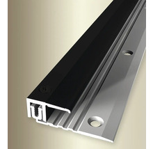 Aluminium Türdichtungsprofil mit schwarzer Gummilippe