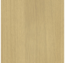 Holzdekorelement mit Maserung