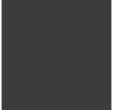 Bodenfliese Rako Taurus Color schwarz 20x20cm