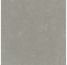 Graue Bodenfliese aus Feinsteinzeug mit matter Oberfläche