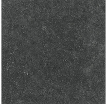 Dunkle Steinzeugfliese mit matter Oberfläche
