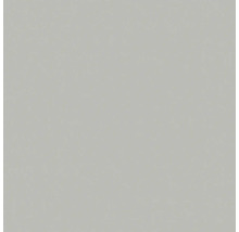 Bodenfliese Rako Taurus Color hellgrau 30x30cm