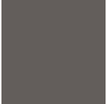 Bodenfliese Rako Taurus Color dunkelgrau 60x60cm rektifiziert
