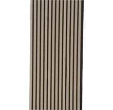 Akustikpaneel mit Holzrippen zur Schallabsorption