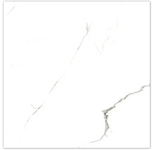 Wand- und Bodenfliese Bianco River 60x60cm poliert, rektifiziert