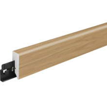 Sockelleiste mit Befestigungsclip