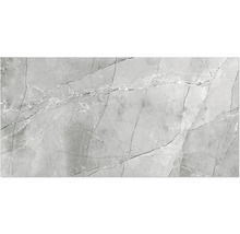 Graue Fliese mit Marmoroptik für Wand und Boden