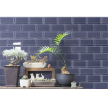 Wandfliesen im Innenraum mit verschiedenen Pflanzen in Töpfen