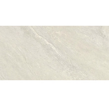 Wand- und Bodenfliese Aspen bianco 31x62cm R11