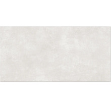 Wand- und Bodenfliese Bozen hellgrau 59,7x119,7cm 6mm stark matt rektifiziert