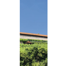 Landschaftsbild mit Weinberg, Mauer und kleinem Gebäude