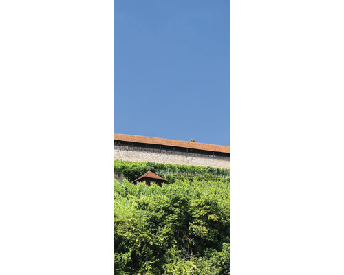 Landschaftsbild mit Weinberg, Mauer und kleinem Gebäude